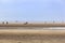 People walking on the tranquil beach of Ouddorp