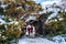 People walking through a trees tunnel covered with snow after a snowy day