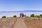 People walking in a trekking path above clouds Madeira,Portugal