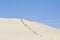 People walking up a dune with a surfboard