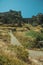 People walking up a path covered by bushes near Monsanto