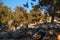 People walking up the stairs to the old Panagia Tsambika monastery in Rhodes island in Greece