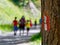 People walking in the wood along trail mark on a tree in summer