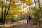 People walking in woods, fall in Netherlands