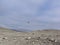 People wandering along Taylor Dry Valley in Antarctica