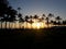 People watch dramatic Sunset dropping behind the ocean through Coconut trees on Kaimana Beach