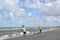 People watch seagulls on the bank of the Baltic Sea