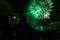 People watching green fireworks at night