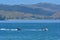 People water skiing over Mercury Bay New Zealand