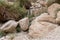 People at the waterfall in national park Ein Gedi