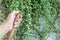 People watering plants in home garden by plastic tube