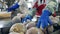 People work with meat on conveyor at meat cutting plant.