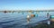 People working on the beach with many fishing boats in Phan Rang, Vietnam