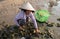 People working catch at Vietnamese fishing PHAN THIET village Vietnam