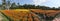 People working on the daisy flower fields