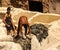 People working in the famous tannery, Morocco