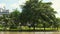 Peoples relax on green lawn in public park with grass field, tropical palm trees