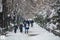 Peoples walking on a frozen crosswalk