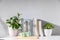 Peperomia magnoliifolia in pink plastic pot, echeveria in a ceramic pot, a stack of books is on the bookshelf. Interior of a
