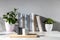 Peperomia magnoliifolia in a pink plastic pot, echeveria in a ceramic pot, a stack of books is on the bookshelf. Interior of a