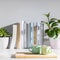 Peperomia magnoliifolia in pink plastic pot, echeveria in a ceramic pot, a stack of books is on the bookshelf. Interior of a