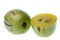 Pepino Dulce (Melon Pears) Isolated