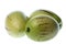 Pepino Dulce (Melon Pears) Isolated