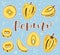 Pepino - Whole and pieces. Vector stock illustration with calligraphy. Colored fruit set isolated on blue background.
