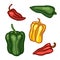 Pepper, paprika. A set of vegetables of different colors, yellow, red, green. Sweet spice. Vegetarian menu.