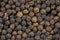 Peppercorn Macro