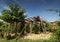 Peppercorn vines growing in organic pepper farm in kampot cambodia