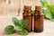 Peppermint essential oil - two bottles with fresh mint leaves in the foreground