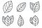 Peppermint icons set, outline style