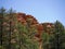 Pepperpot Rocks in Red Canyon National Park, Utah, USA