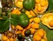 Pequi fruit (Caryocar brasiliense).Brazilian fruit cerrado biome