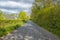 Perceton Woods and a country lane By Irvine North Ayrshire Scotyland