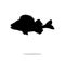 Perch fish aquatic black silhouette animal