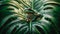 Perched atop a monstera leaf dotted with raindrops, a green tree frog gazes into the distance