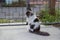 Perched Munchkin cat on concrete floor