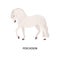 Percheron breed horse flat vector illustration. Beautiful muscled grey spotted stallion isolated on white background