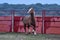 Percheron horse running in spain