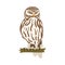 Perching Owl Bird with Broad Head and Sharp Talons Having Upright Stance Vector Illustration