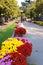 Pere Lachaise cemetery Principale avenue decorated with flowers