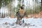 Peregrine Falcon, bird of prey sitting in the snow with catch during winter with snow, Germany. Falcon witch killed dove. Wildlife