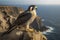 A Peregrine Falcon perched on a cliff generate by AI