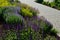 Perennial beds in street plantings. Variegated rich stands of prairie hardy flowers blooming profusely like a meadow. concrete int