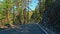 The perfect asphalt mountain road. Fresh painted road markings. Rocky roadside, and green coniferous trees in the