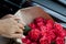 Perfect bouquet of fresh cut roses in car.