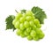 Perfect bunch of green grapes isolated on white backgroun