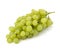 Perfect bunch of white grapes